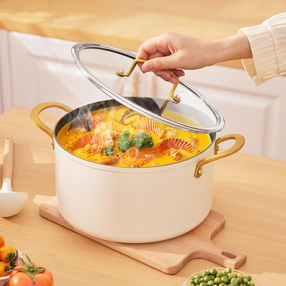 10Qt Ceramic Non-Stick Stock Pot with Lid, Induction & Dishwasher Safe