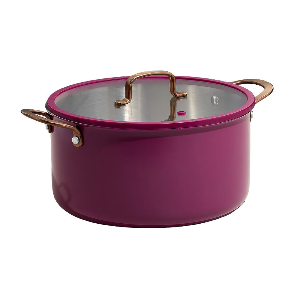 6Qt 3-Ply Stainless Steel Stockpot with Lid, Ceramic Outer, Induction & Oven Safe