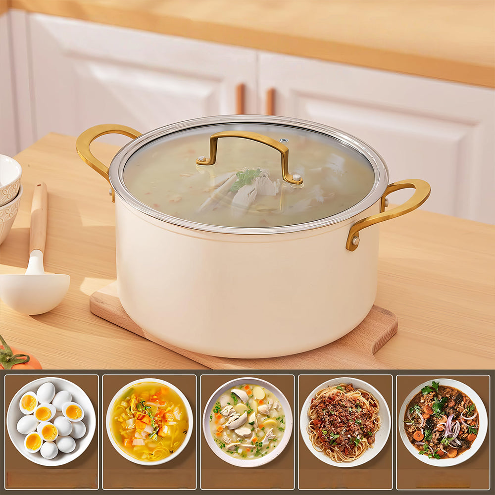 10Qt Ceramic Non-Stick Stock Pot with Lid, Induction & Dishwasher Safe